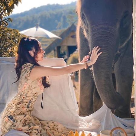 3 Pok Maewang Jinxiang Gold Elephant Park Mevang Kültér fotó