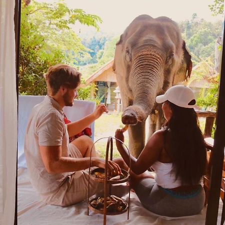 3 Pok Maewang Jinxiang Gold Elephant Park Mevang Kültér fotó