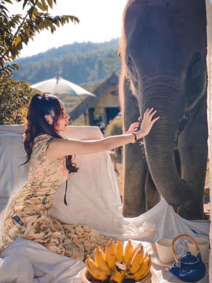 3 Pok Maewang Jinxiang Gold Elephant Park Mevang Kültér fotó