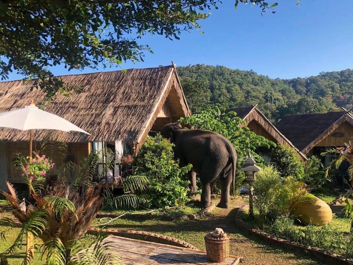 3 Pok Maewang Jinxiang Gold Elephant Park Mevang Kültér fotó