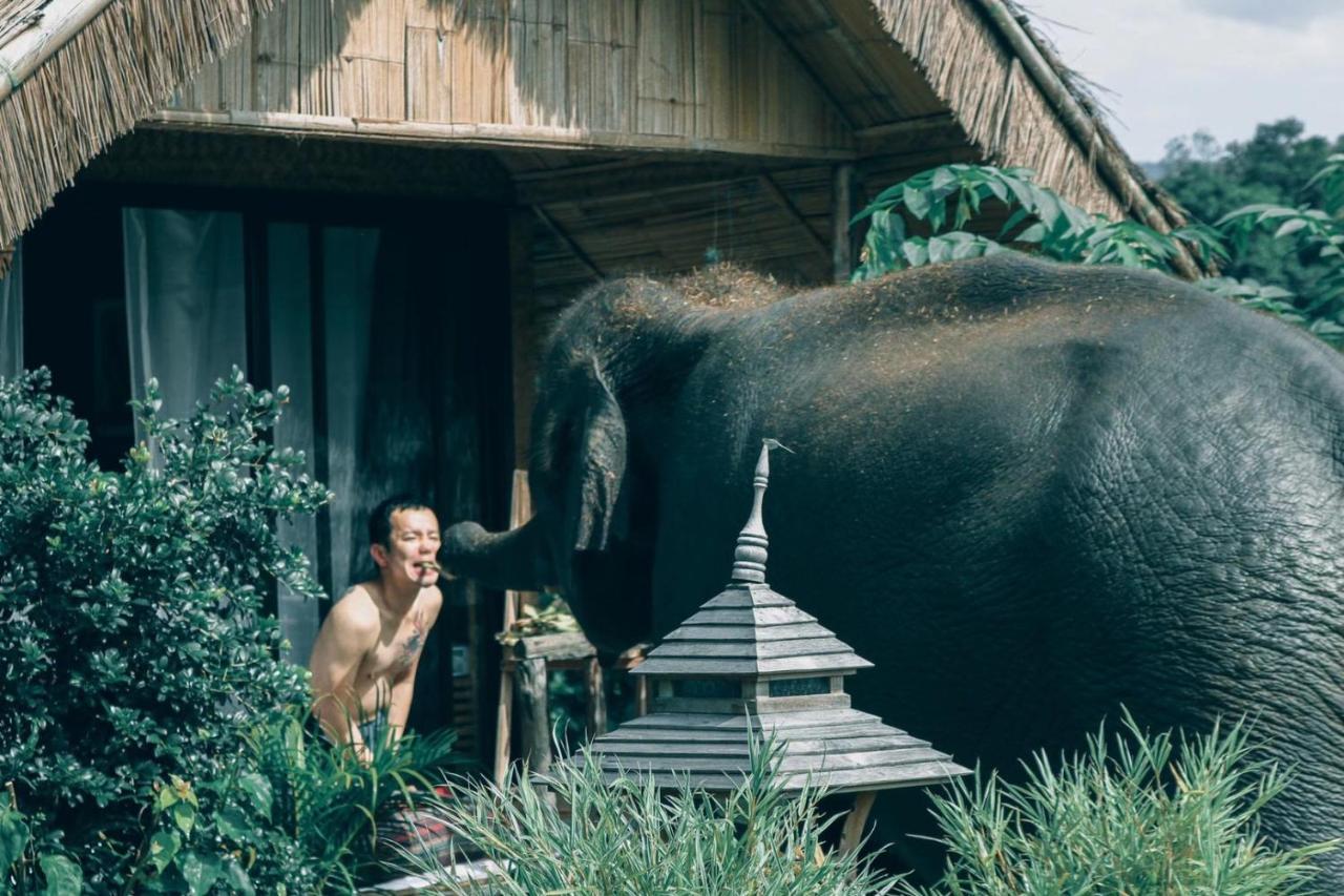 3 Pok Maewang Jinxiang Gold Elephant Park Mevang Kültér fotó