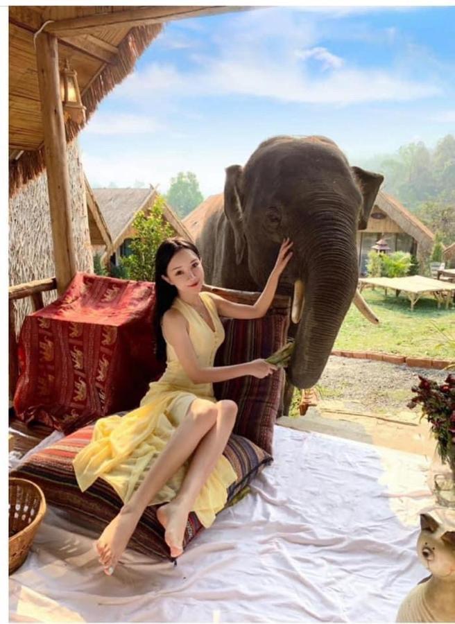3 Pok Maewang Jinxiang Gold Elephant Park Mevang Kültér fotó