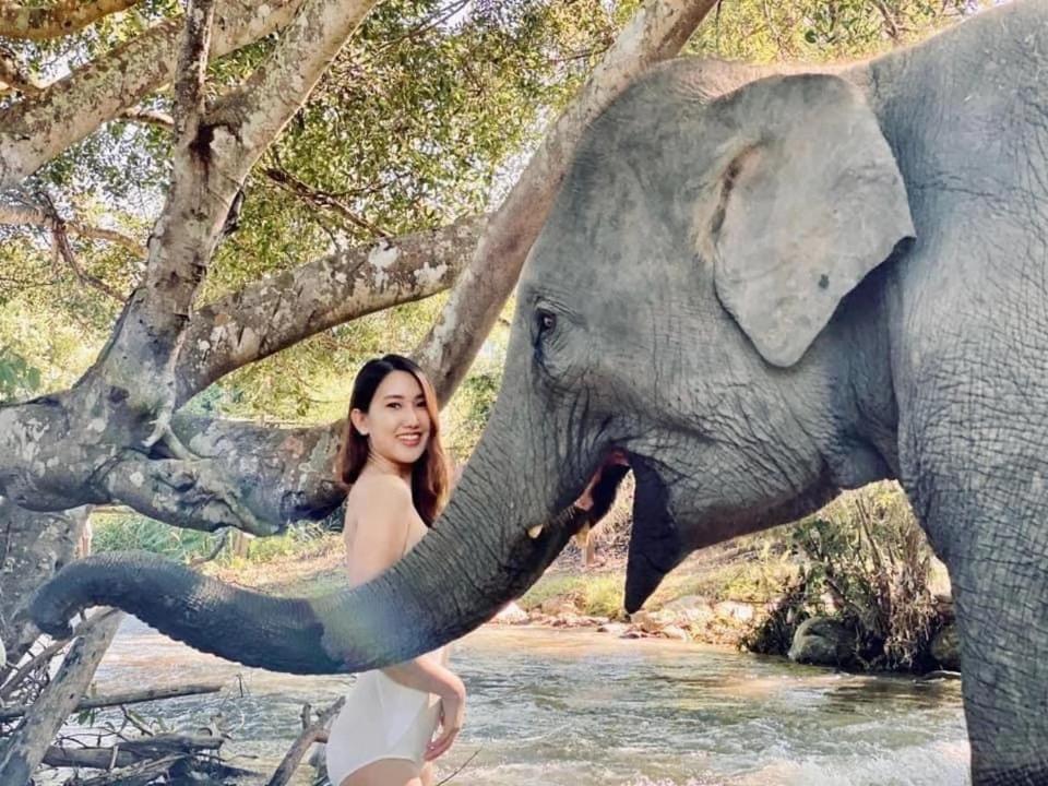 3 Pok Maewang Jinxiang Gold Elephant Park Mevang Kültér fotó