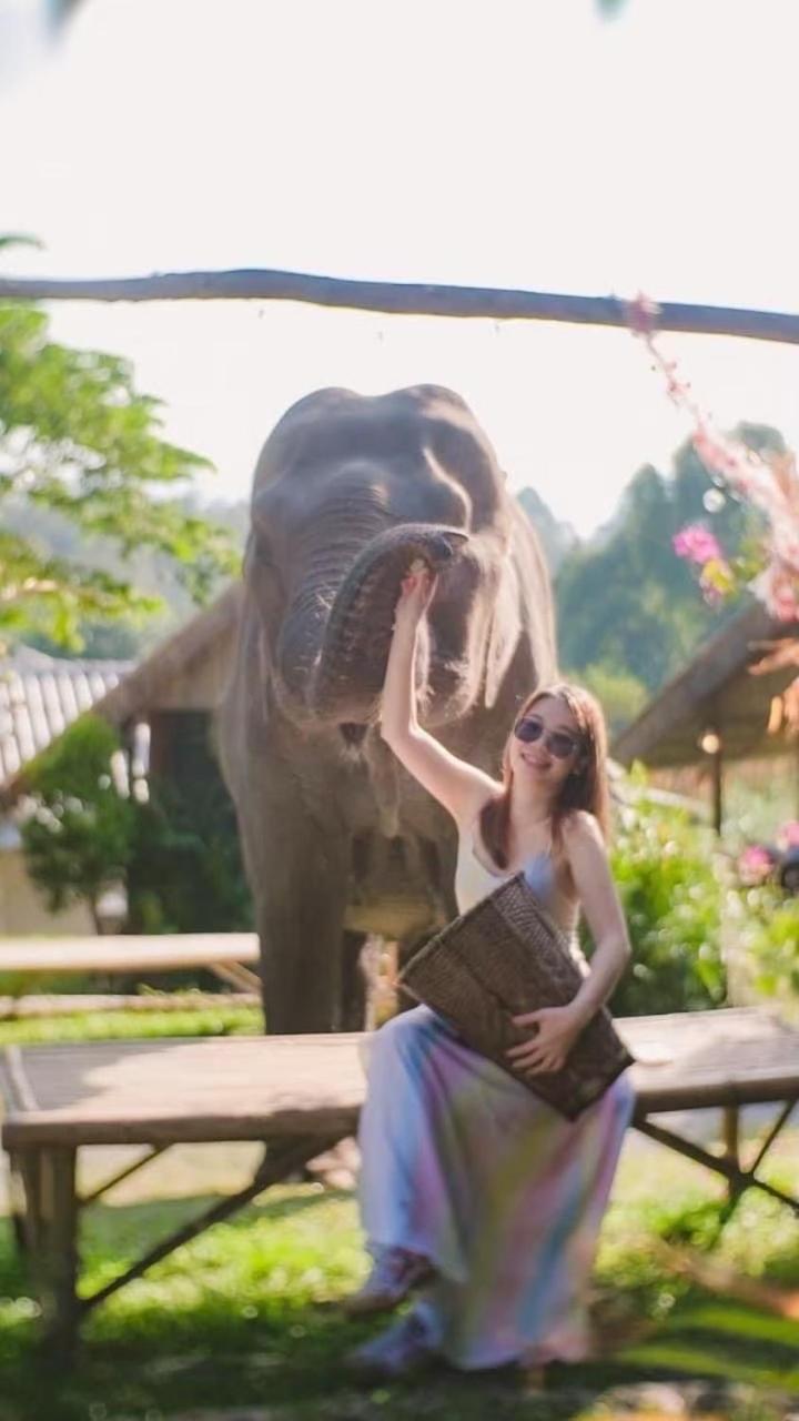3 Pok Maewang Jinxiang Gold Elephant Park Mevang Kültér fotó