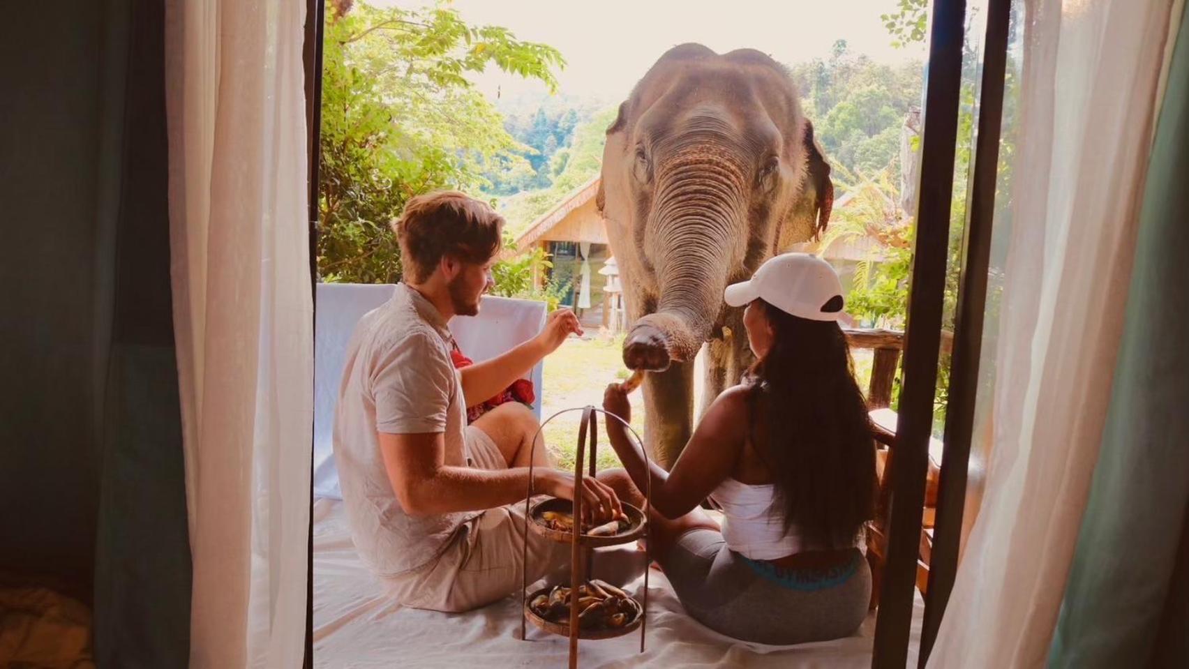 3 Pok Maewang Jinxiang Gold Elephant Park Mevang Kültér fotó