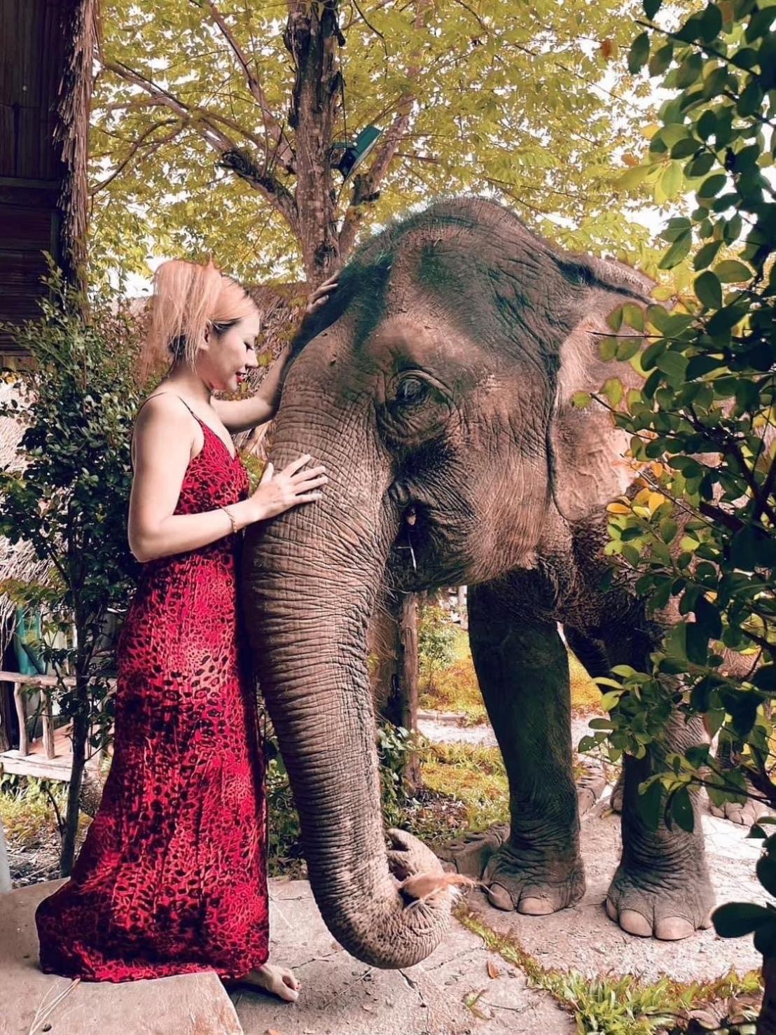 3 Pok Maewang Jinxiang Gold Elephant Park Mevang Kültér fotó