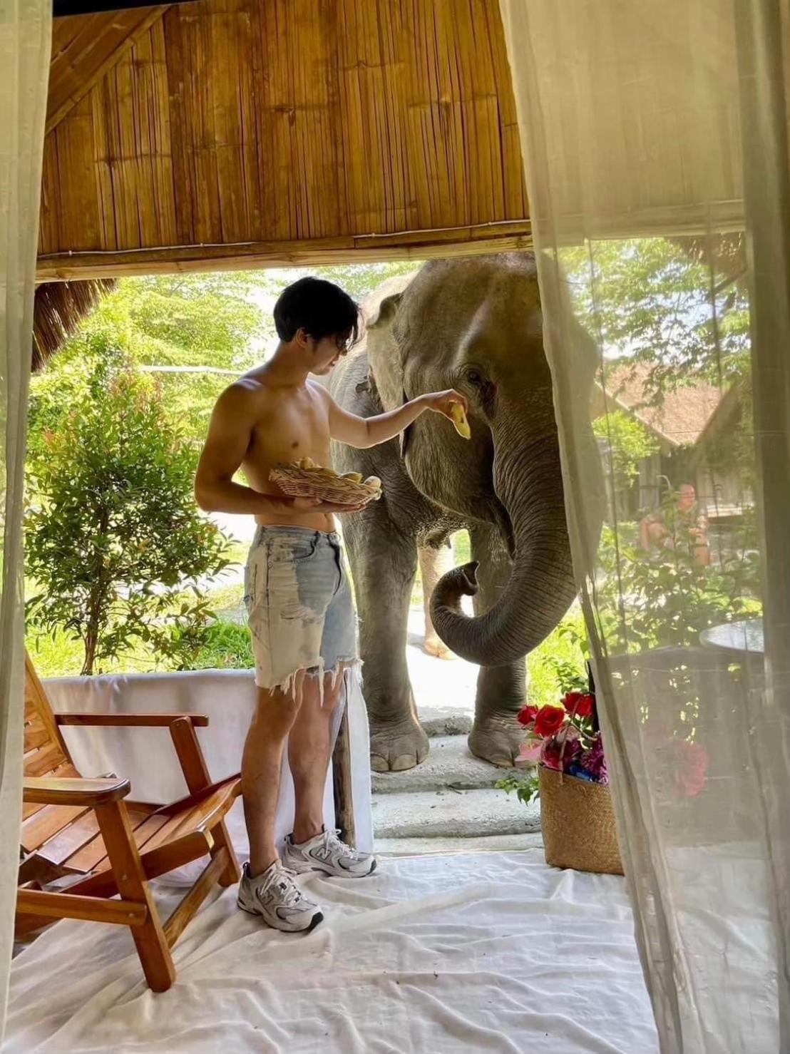3 Pok Maewang Jinxiang Gold Elephant Park Mevang Kültér fotó