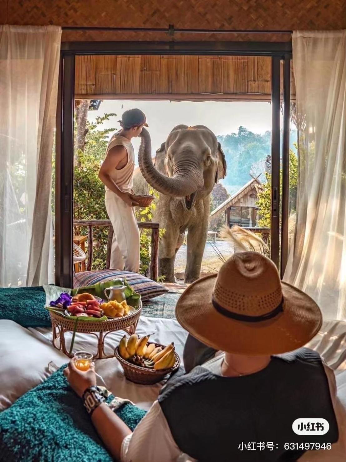 3 Pok Maewang Jinxiang Gold Elephant Park Mevang Kültér fotó