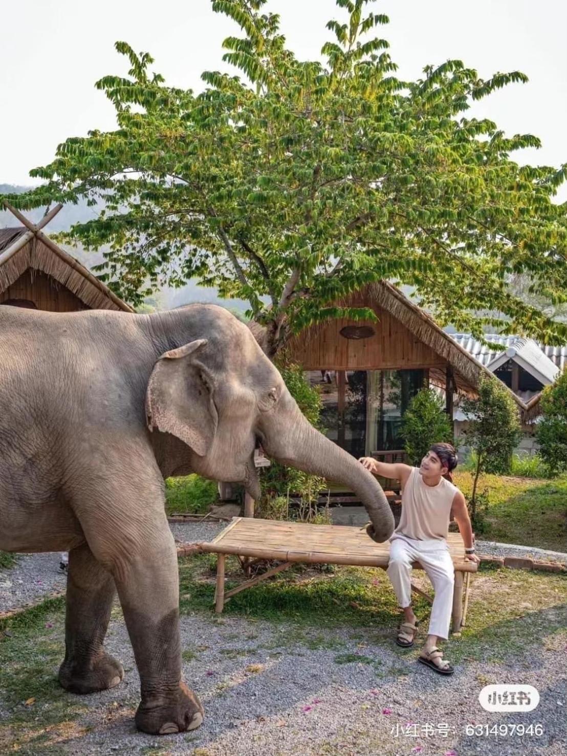 3 Pok Maewang Jinxiang Gold Elephant Park Mevang Kültér fotó