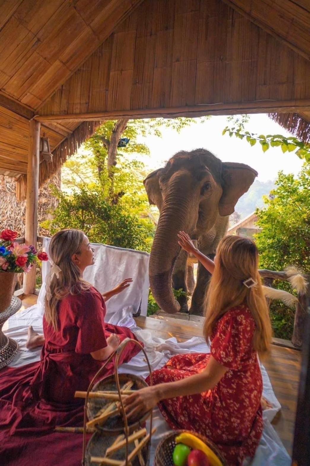 3 Pok Maewang Jinxiang Gold Elephant Park Mevang Kültér fotó