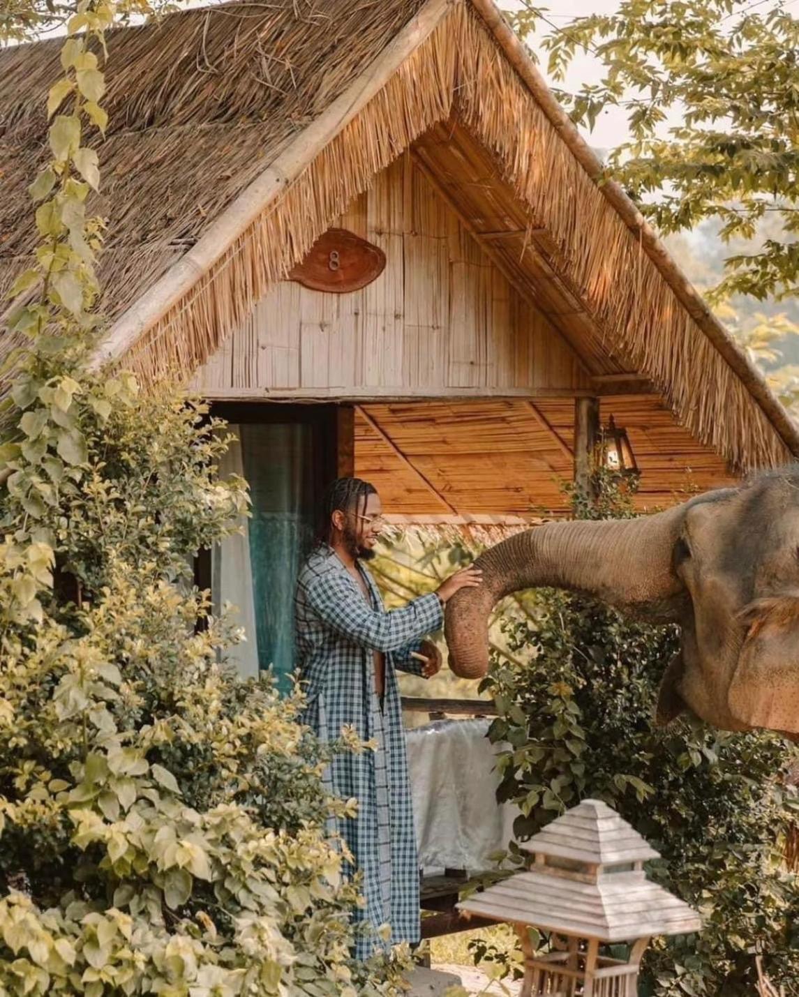 3 Pok Maewang Jinxiang Gold Elephant Park Mevang Kültér fotó