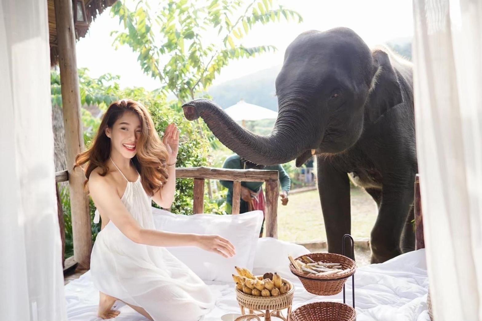 3 Pok Maewang Jinxiang Gold Elephant Park Mevang Kültér fotó
