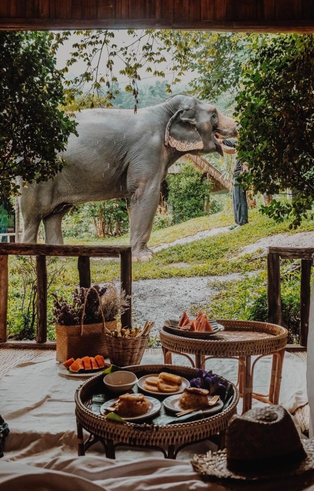 3 Pok Maewang Jinxiang Gold Elephant Park Mevang Kültér fotó